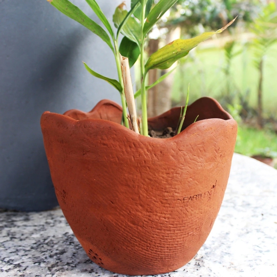 Handcrafted Terracotta Jute Textured Planters (Set of 2)