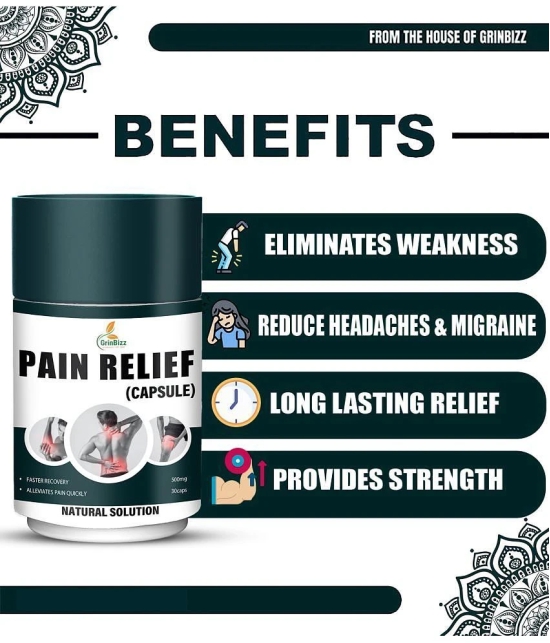 Grinbizz Pain Relief Capsules ( Pack of 1 )