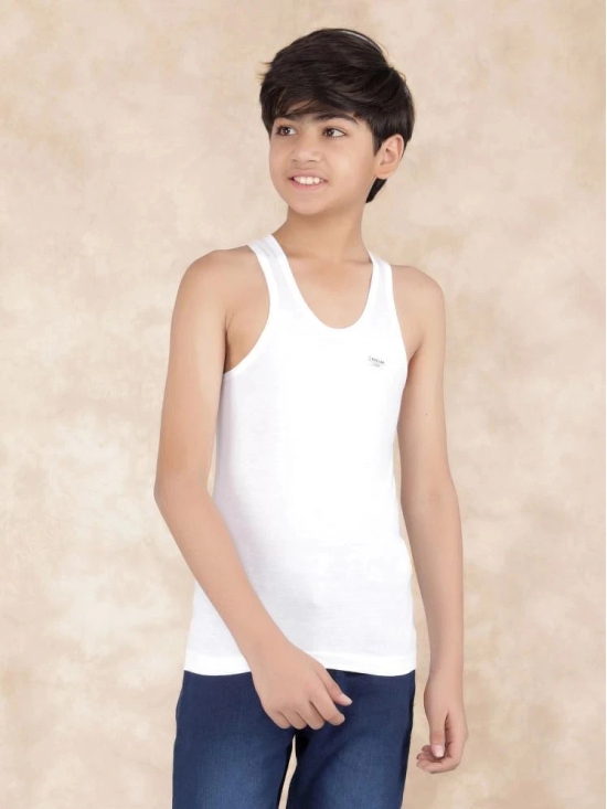 Pack of 4 Dollar Cotton Solid Boys Vest ( White ) MLHVE-01-K-WHT-PO4 - None