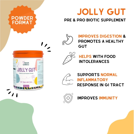 JOLLY GUT - Pre & Pro Biotic Supplement