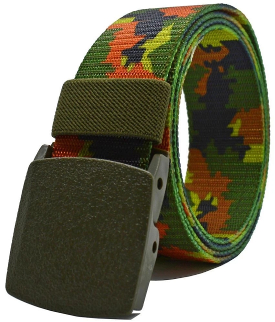 Loopa Multi Nylon Casual Belt Pack of 2 - None