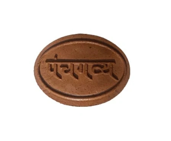 Panchagavya Soap 1pcs