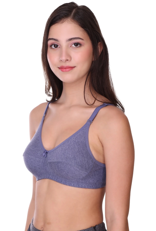 SONA Womens All Day Full Coverage Non Padded Cotton Bra-34 / B / PINK