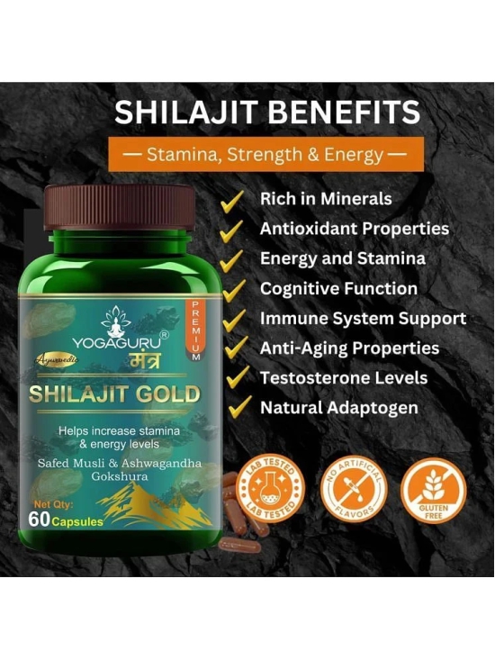 Shilajit Gold | Premium Vitality | Ayurvedic Supplement for Men 60 Capsules