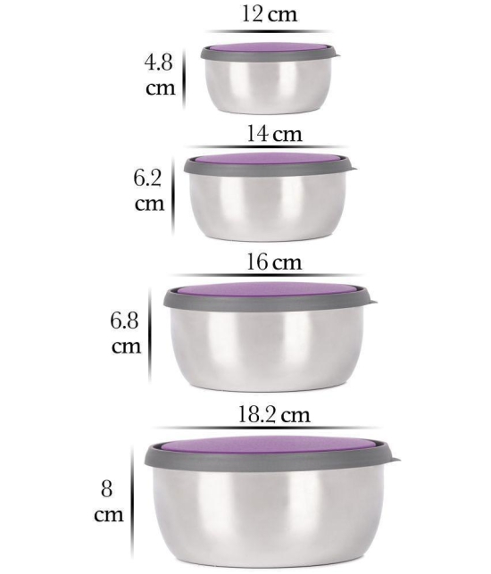 HomePro Bowl 4pcs With Lid Steel Purple Food Container ( Set of 4 ) - Purple