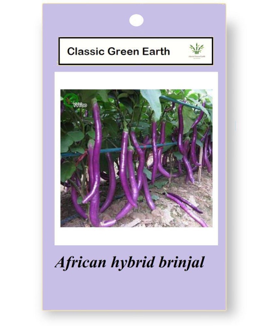 CLASSIC GREEN EARTH - Brinjal Vegetable ( 100 Seeds )