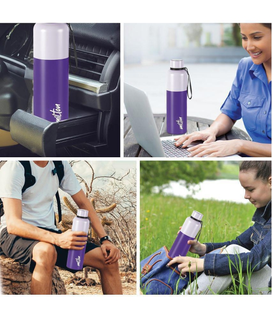 Milton Ancy 1000 Thermosteel Water Bottle, 1.05 Litre, Violet | 24 Hours Hot and Cold | Easy to Carry | Rust Proof | Tea | Coffee | Office| Gym | Home | Kitchen | Hiking | Trekking | Travel 