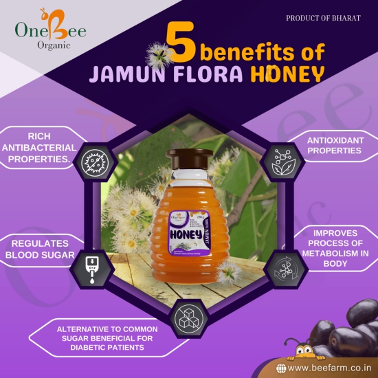 ONE BEE ORGANIC Honey | Jamun Honey/Blackberry Flora Honey | Natural Flora Honey - 280 GM.