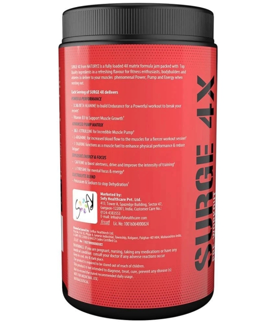 NATURYZ Surge 4X Pre Workout With Highest 24 Nutrients for Pump, Muscle gain - 400g(MixFruit Fusion)