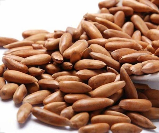 Havenuts Pine Nuts With Skin, 100 gm