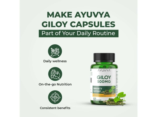 Ayuvya Giloy Capsules || 500mg Pure Guduchi Powder & Extract - Immunity Booster & Liver Support Supplement, 60 Capsules