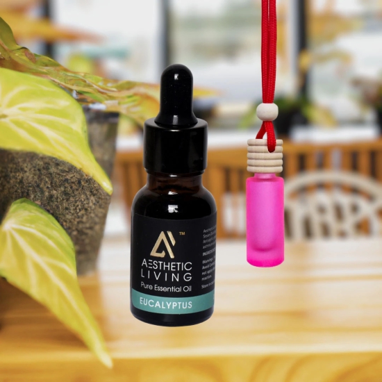 Aesthetic Living Car Aromatizer/ Diffuser Bottle with Essential Oil (Neon Tube Shape-6 ml+ Eucalyptus Essential Oil, 15 ml)