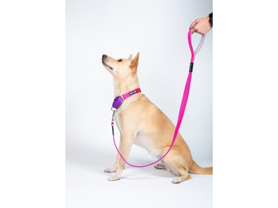 Pets Way Dual Color Leash - Fuschia & Amethyst-XL