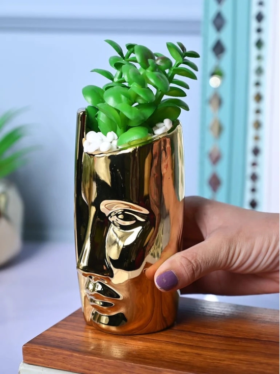 Golden Serenity - Face Design Artificial Plant with Pot