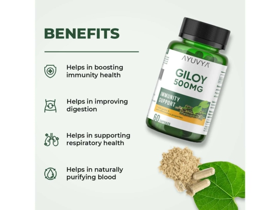 Ayuvya Giloy Capsules || 500mg Pure Guduchi Powder & Extract - Immunity Booster & Liver Support Supplement, 60 Capsules