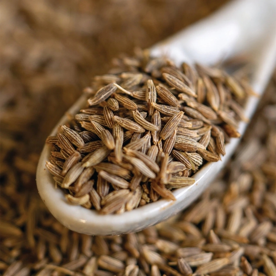 Cumin Seeds Whole-100g to 1kg / 1kg