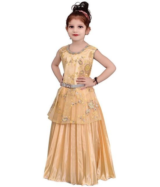 Arshia Fashions Girls Gown Dress for Kids - None