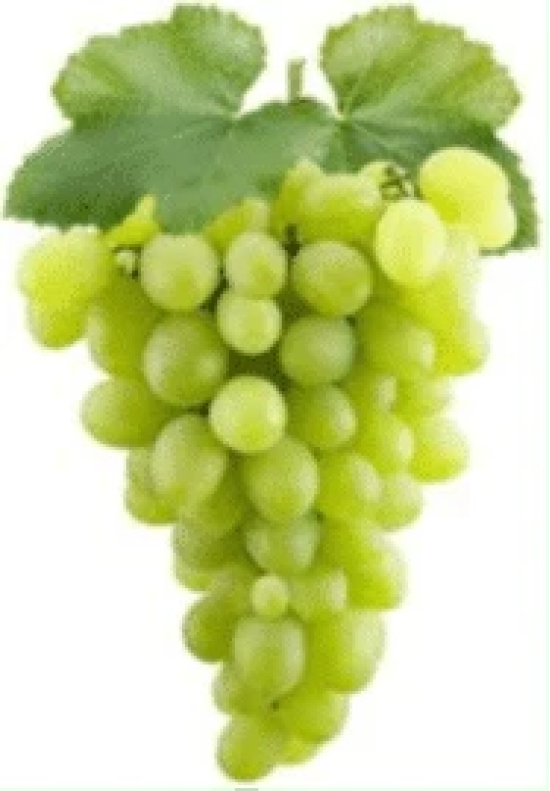 Grapes