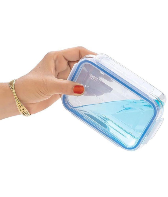 HOMETALES Plastic Multi-Purpose Food Container, 500ml (2U) - Transparent