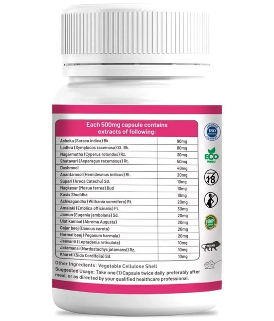 Agniveda Naturals Power Woman | All-Natural Stamina Booster For Women | Ashoka, Lodhra - 60 Caps