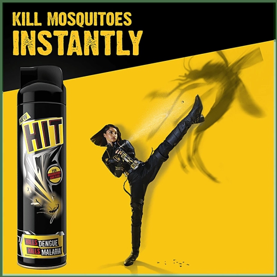 Hit Mosquito & Fly Killer Spray, 320 Ml