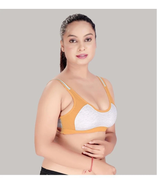 HAYA Multicolor Cotton Non Padded Womens Everyday Bra ( Pack of 2 ) - None