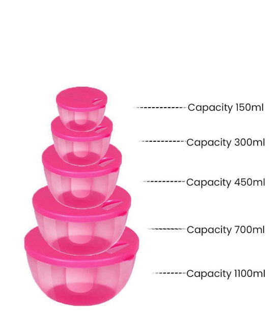 HOMETALES Multi-Purpose Container 1100ml, 700ml, 450ml, 300ml, 150ml,Blue (5U) - Pink