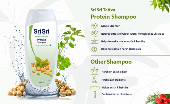 Protein Shampoo - For Dry to Normal Hair, 200ml x Pack of 2 (400 ml)