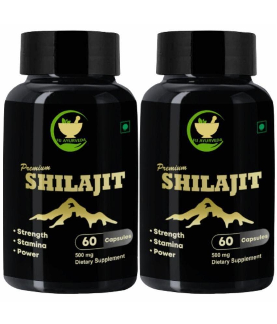 FIJ AYURVEDA Premium Shilajit Extract Capsule Supports Strength & Stamina - 500mg 60 Capsules (Pack of 2)