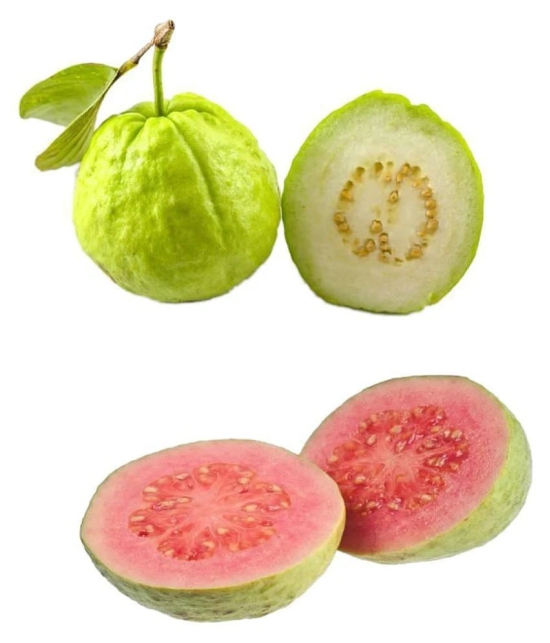 Two Types Guava Fruit Seeds