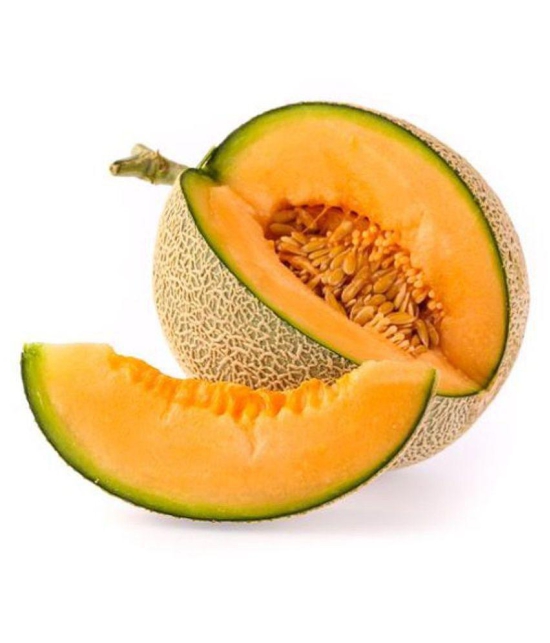 Musk Melon Golden Orange Flesh, Muskmelon Seeds, 50 Kharbuja Seeds