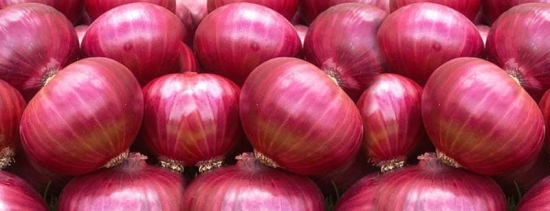 Organic Red Onion - Fresh from the Earth (200g)