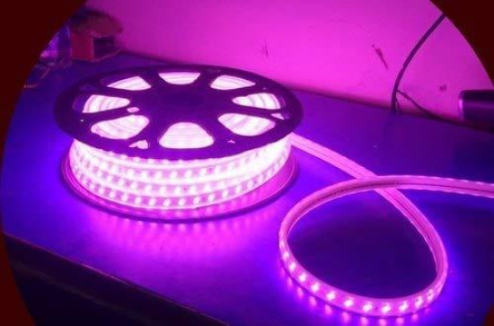 LED Strip Rope Light or Ceiling Light or Decorative Light with Adapter (Pink, 5 Meter).