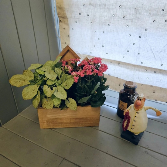 BARISH - Planter Table Top (3 House) | Handcrafted with Rubberwood | Indoor Planter Basket 13 x 10 x 5.5 Inches