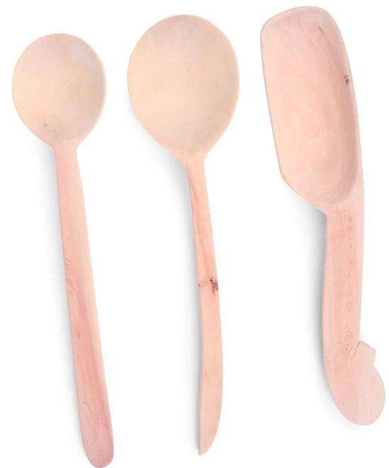 Curry Spoons set