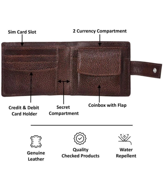 GEEO Brown Leather Mens Two Fold Wallet ( Pack of 1 ) - Brown