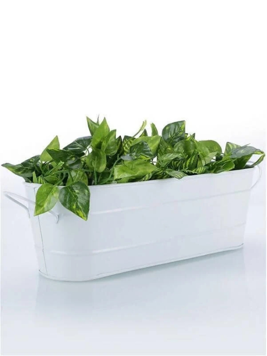 Oval Planter Large White