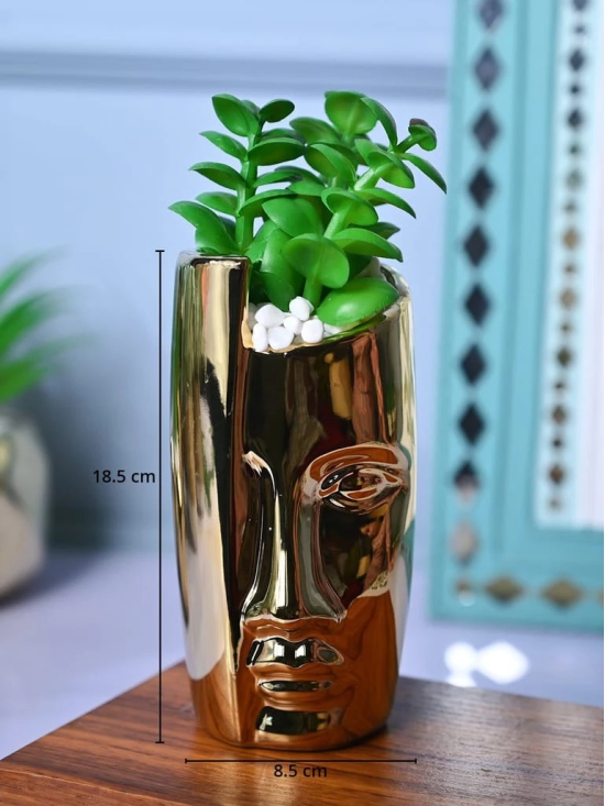 Golden Serenity - Face Design Artificial Plant with Pot