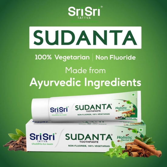 Sri Sri Tattva Sudanta Toothpaste -  Non - Fluoride - 100% Vegetarian, 200g (Bamboo Toothbrush Free)