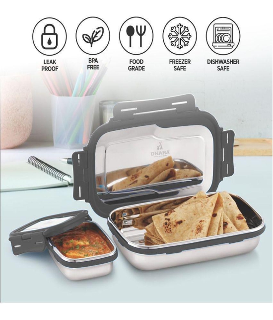 Dhara Stainless Steel Blaze Stainless Steel Insulated Lunch Box 2 - Container ( Pack of 1 )