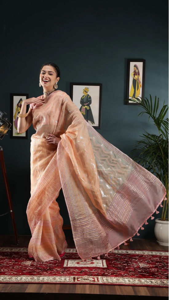 Organza saree