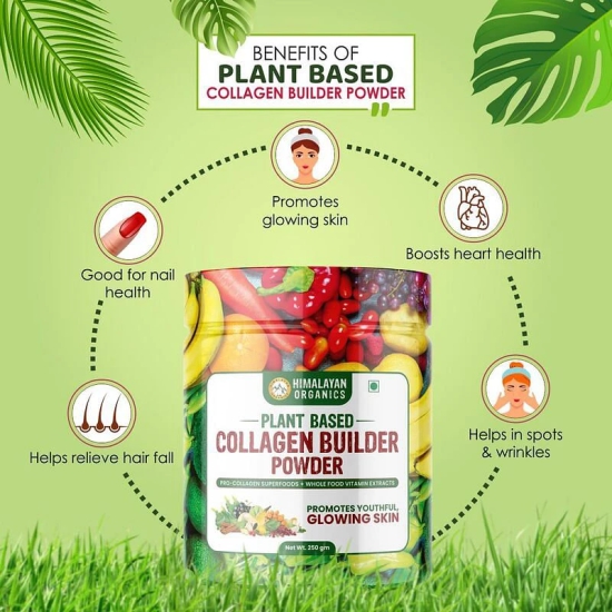 Himalayan Organics Plant Based Collagen Builder Powder with Vitamin C & Biotin for Youthful Skin, Hair, Nails - 250Gm-Himalayan Organics Plant Based Collagen Builder Powder with Vitamin C & Bioti