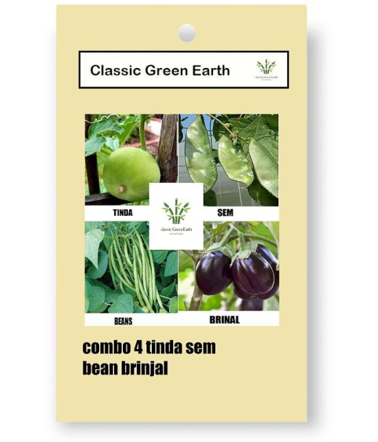 CLASSIC GREEN EARTH - Vegetable Seeds ( COMBO OF TINDA SEM BEENS BINJAL 50 SEEDS )