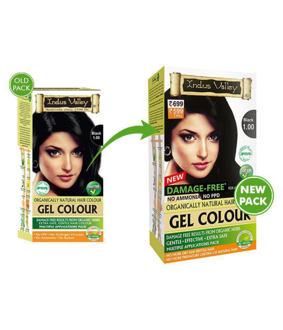 Indus Valley Organically Natural Hair Color Damage Free, No Ammonia Gel Hair Color Black 1.00 , black 1.00