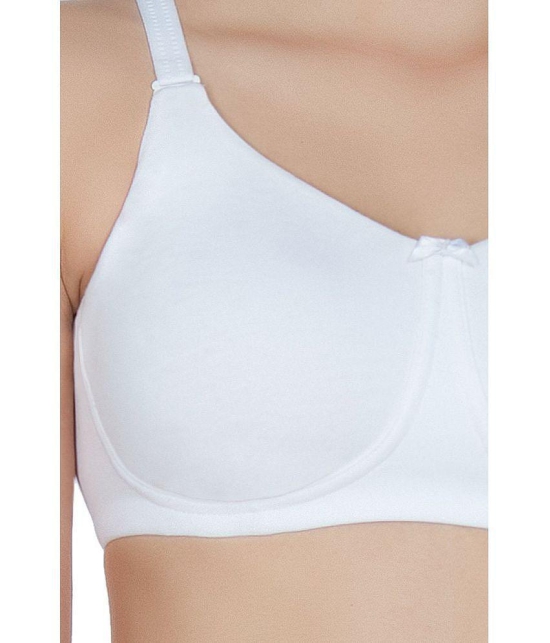 Amante Cotton T-Shirt Bra - White Single - 32B