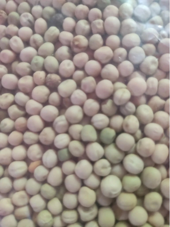 chickpea ( chana buat )