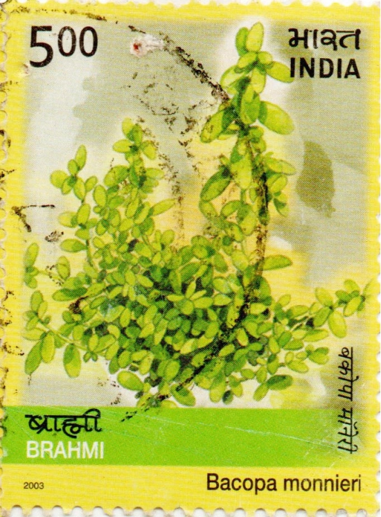 India Brahmi Used Postage Stamp