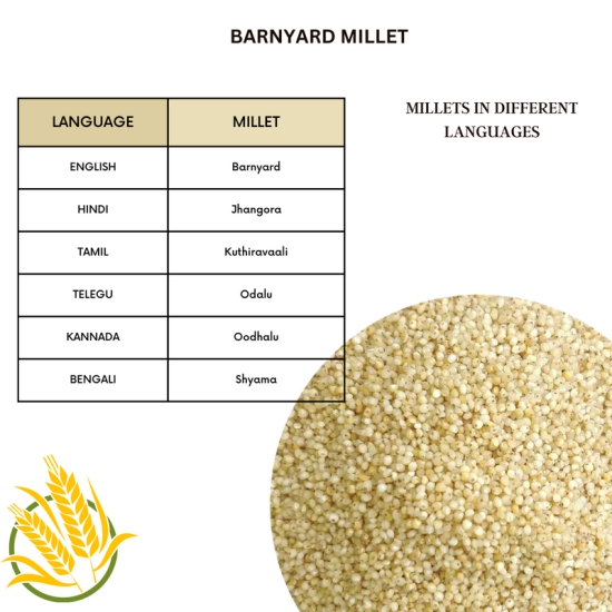 Native Pods Barnyard Millet Unpolished 500gm- Sanwa,Kuthiravali,Oodalu - Natural & Organic - Gluten free and Wholesome Grain without Additives