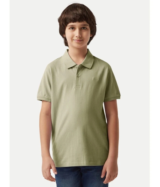 Radprix Green Cotton Blend Boys Polo T-Shirt ( Pack of 1 ) - None