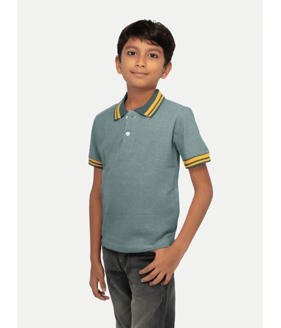 Radprix Green Cotton Blend Boys Polo T-Shirt ( Pack of 1 ) - None